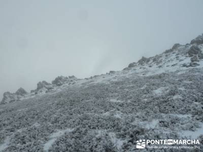 Hayedo de Pedrosa - Parque Natural Sierra Norte de Guadalajara - Hayedo de Tejera Negra